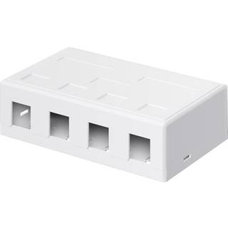 Keystone dåse 4 port