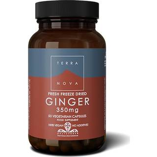 Terranova Ginger (50 stk)