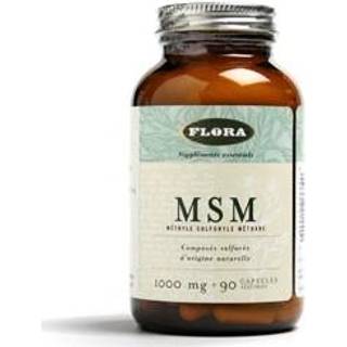 MSM lignisul tm 1000mg til vet. brug - 90 kapsler