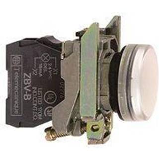 Signallampe Hvid Xb4Bvm1 Schneider Electric