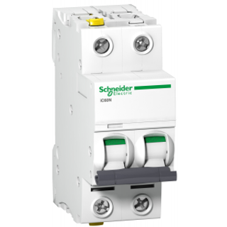 Automatsikring D4A 2P 10Ka 2M Schneider Electric