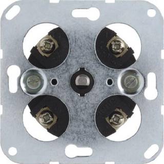 Berker Mekanisk timer 2pol 120 min