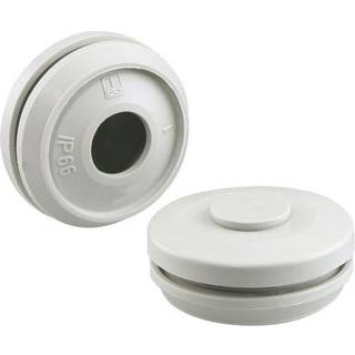 Membran Dms M20 Ip 66 Spelsberg