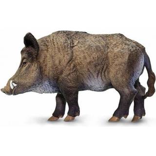 Safari Ltd. Wild Boar -figur - Detaljerad 3,5 """" Plastmodellfigur - Rolig pedagogisk leksak för pojkar flickor och barn åldrar 3