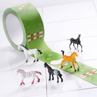 Tape - Tape Gallery (My first Horse Show)