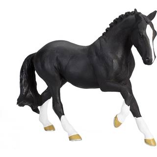 Mojo hanoverian Black Portugal