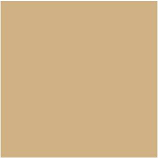 Vallejo Model Farve 70.847 Mørkt Sand
