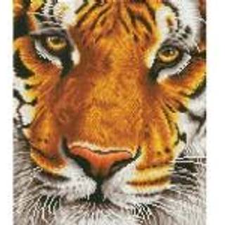 Diamond Dotz 36 x 42 cm - Bengal Løve
