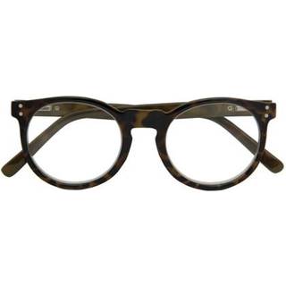 Croon Kensington Havana Grøn +1.00 Briller Mænd Tortoiseshell - Havana Dark Green - +1.00mm