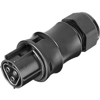 Wieland Rst20i2 stik hun fjeder sort