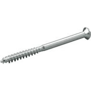 Lk fuga afbryderskrue 50x2,7mm 10-pak
