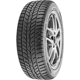 Hankook Winter i*cept RS (W442)  205/70R15 96T