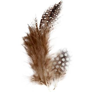 Perlehønsfjer | Brun/natur | 100 stk.