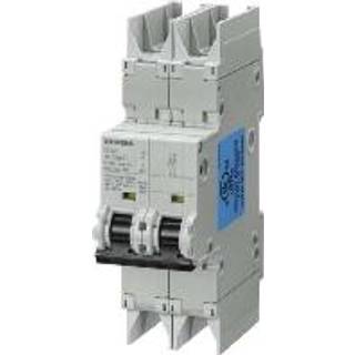 Siemens Automatsikring 10KA 2Pol C6