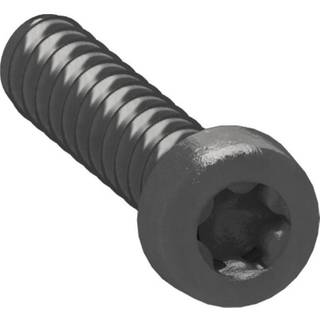 Lk fuga torx skrue sort 10-pak for monteringsramme