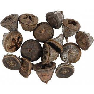 Eucalyptuskogler 25g - Naturlig Dekoration til Hjemmet