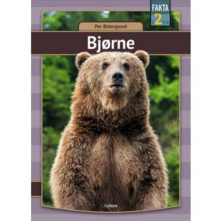 Bjørne