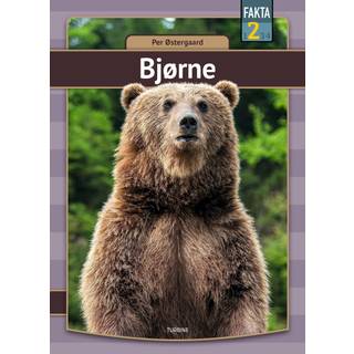 Bjørne