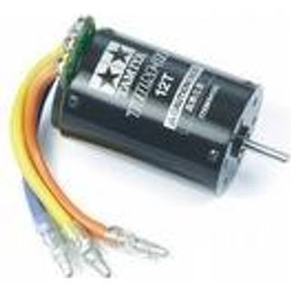 Brushless Motor 01 12T