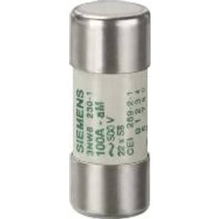 Siemens Cylindersik 22x58MM am 500v 20A