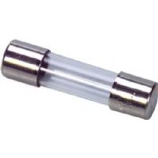 Eska Finsikring 315ma 5x20 flink