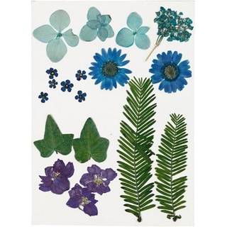 Tørrede blå blomster og blade - 1 pk. til dekoration