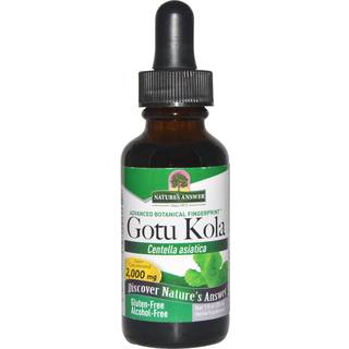 Gotu Kola-ekstrakt - 30 ml