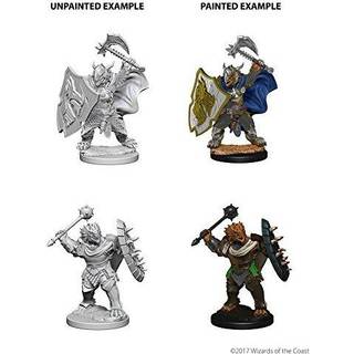 NECA D&D NOLZURS FANGE UDLEGNING MAGNINGER: B?lge 4: Dragonborn Male Paladin