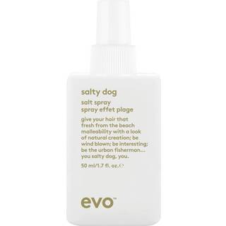 Evo Salty Dog Salt Spray (50ml)