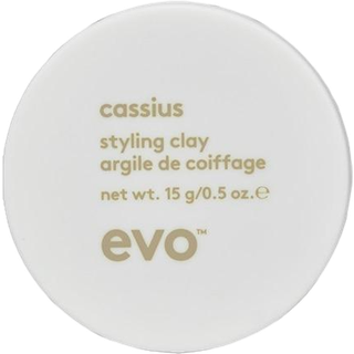 Evo Cassius Styling Clay (15g)