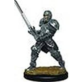 Dungeons & Dragons - Premium Pre-Painted Miniature - Human Fighter
