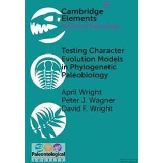 Testing Character Evolution Models in Phylogenetic Paleobiology