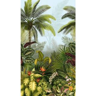 Jungle Fever - JF6001