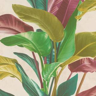 Metropolitan Stories Wallpaper Bold Leaves 37862-1
