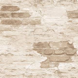 Grunge - G45355