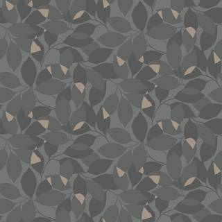 Augusti - 676-03