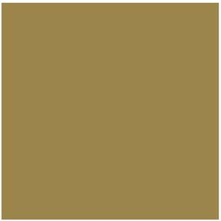 Vallejo Mecha Color 17ml Old Gold [Levering: 1-2 dage]