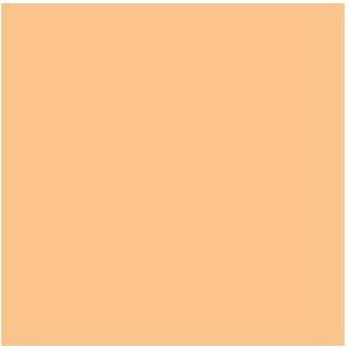 Vallejo Model Air 17Ml Skin Tone [Levering: 1-2 dage]