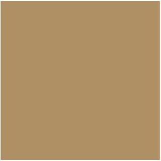 Vallejo Model Air 17Ml Light Brown [Levering: 1-2 dage]