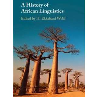 A History of African Linguistics