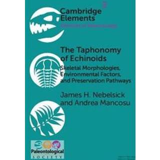 The Taphonomy of Echinoids