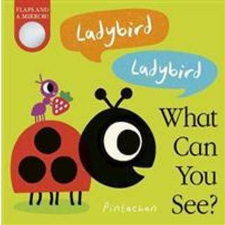 Ladybird! Ladybird! What Can You See?