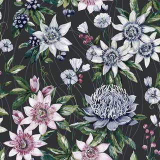 Albany Wallpaper Passiflora 91324