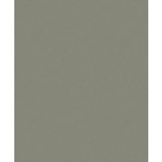 Fiona Concrete Experience 630424 Rulle: 10,05 m x 53 cm