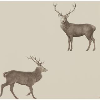 Evesham Deer Birch - DYSI216618