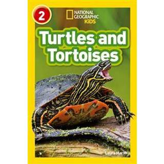Turtles and Tortoises