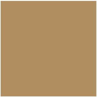 Vallejo Model Color 17Ml Green Ochre [Levering: 1-2 dage]