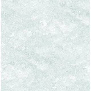 Bluebell - FD25711