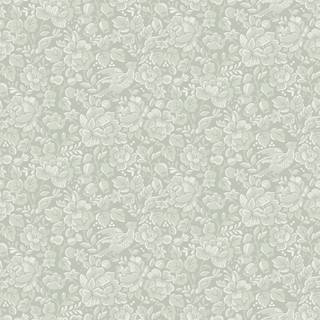 Jenny - 678-02