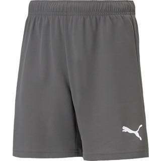Puma Herre teamRISE Sport træningsshorts Grå